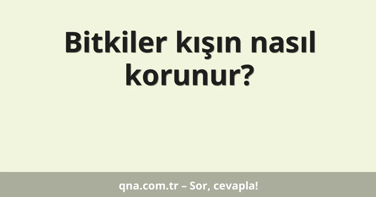Bitkiler kışın nasıl korunur?