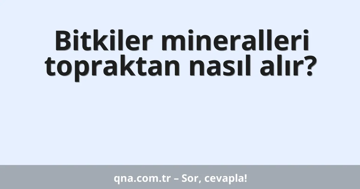 Bitkiler mineralleri topraktan nasıl alır?