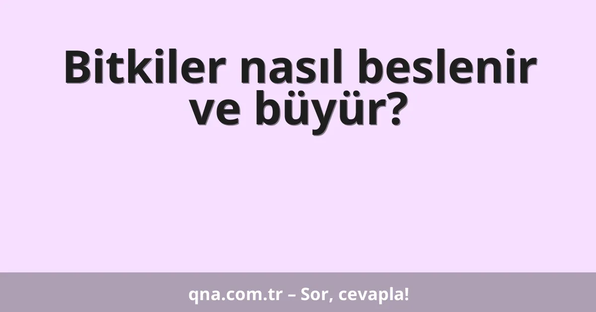 Bitkiler nasıl beslenir ve büyür?