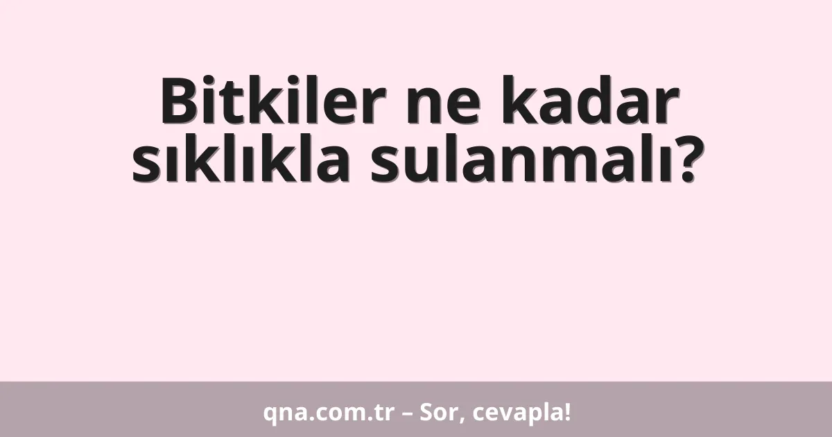 Bitkiler ne kadar sıklıkla sulanmalı?