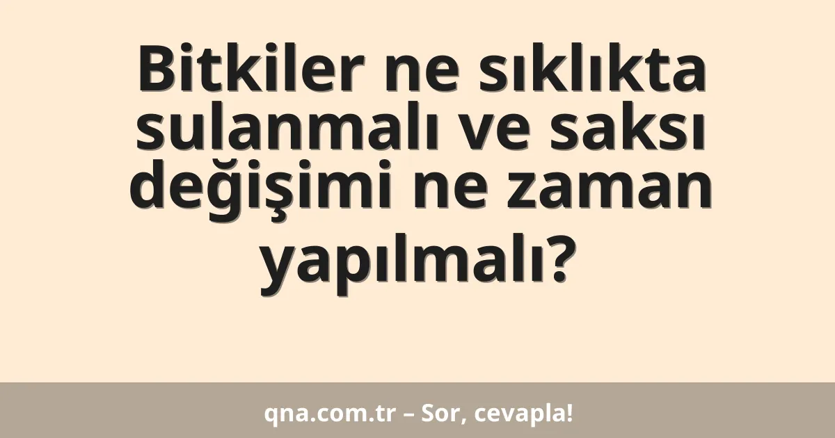 Bitkiler ne sıklıkta sulanmalı ve saksı değişimi ne zaman yapılmalı?