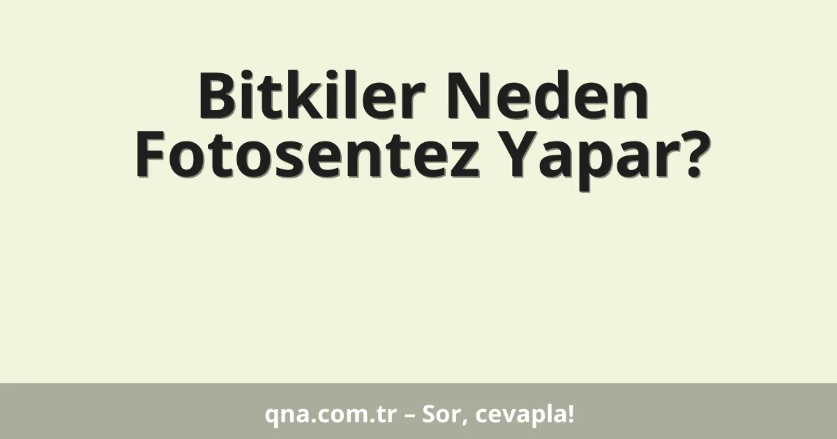 Bitkiler Neden Fotosentez Yapar?