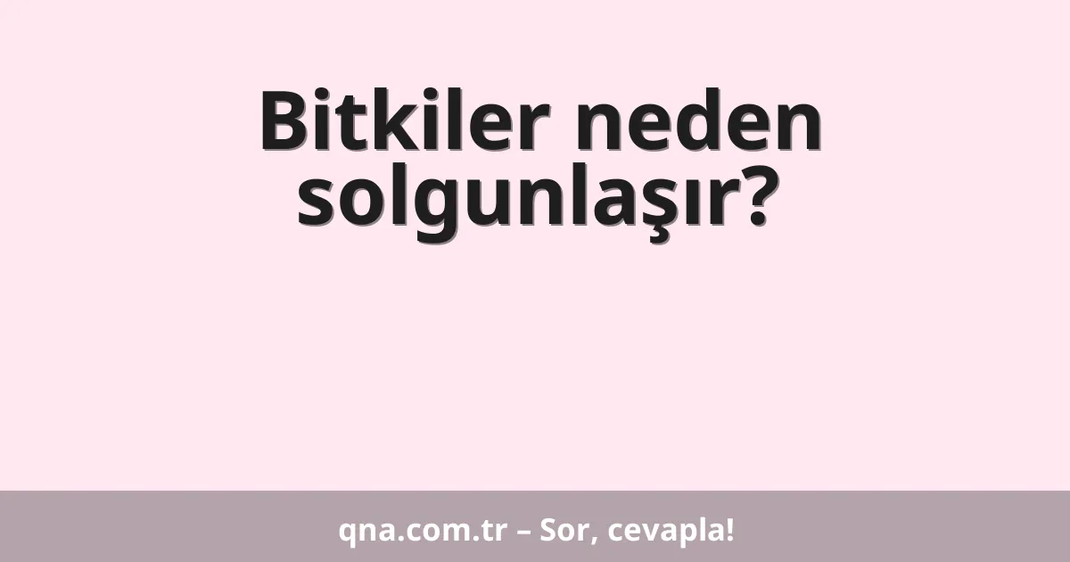 Bitkiler neden solgunlaşır?