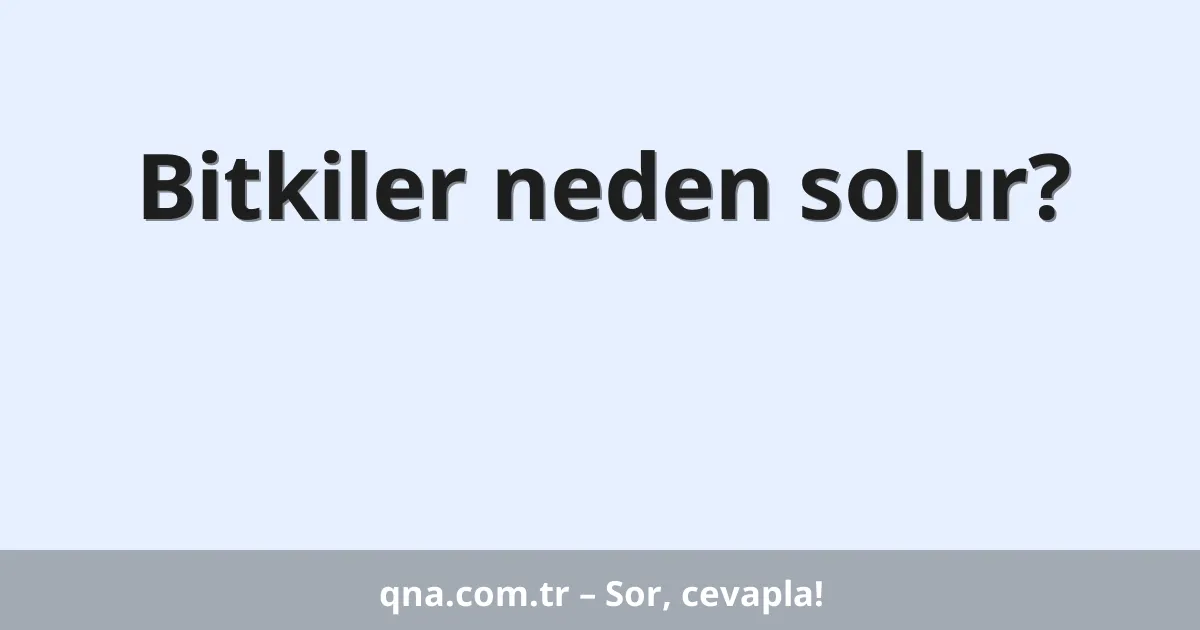 Bitkiler neden solur?