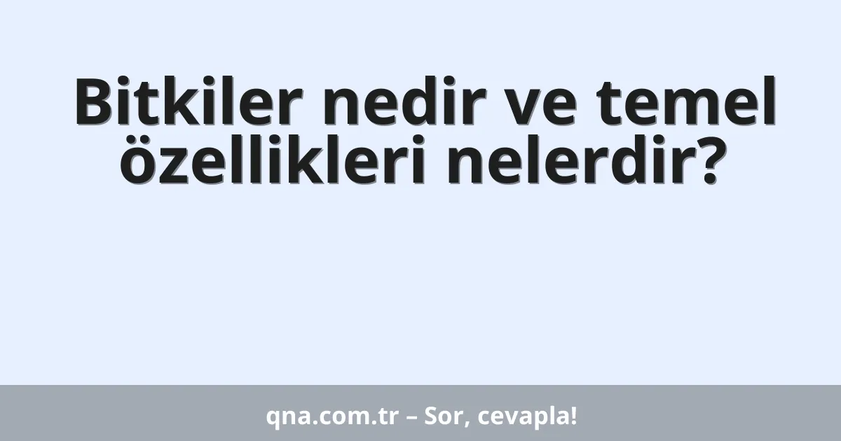 Bitkiler nedir ve temel özellikleri nelerdir?