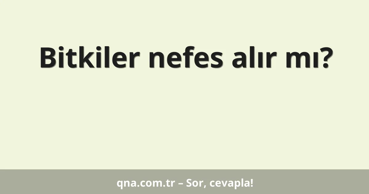 Bitkiler nefes alır mı?
