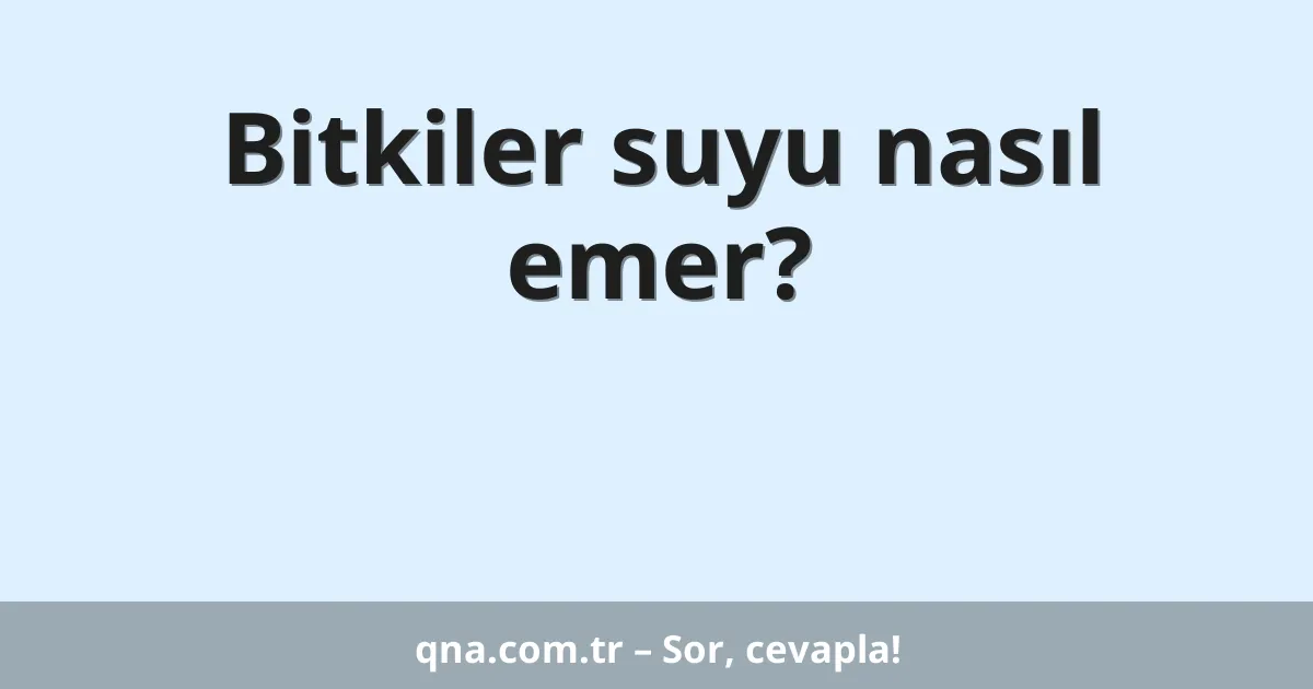 Bitkiler suyu nasıl emer?