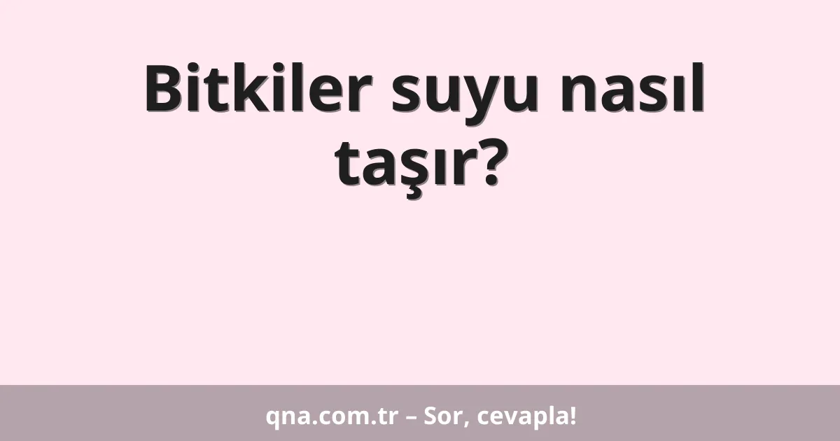 Bitkiler suyu nasıl taşır?