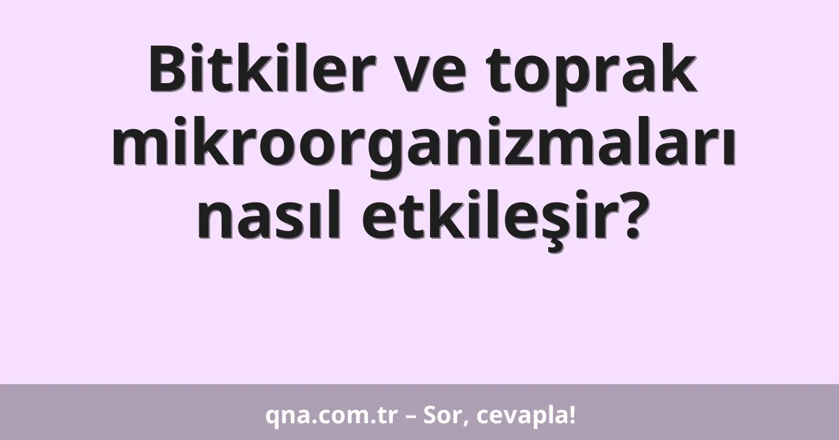 Bitkiler ve toprak mikroorganizmaları nasıl etkileşir?