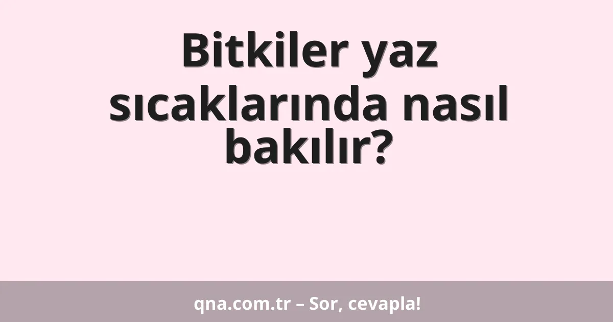 Bitkiler yaz sıcaklarında nasıl bakılır?