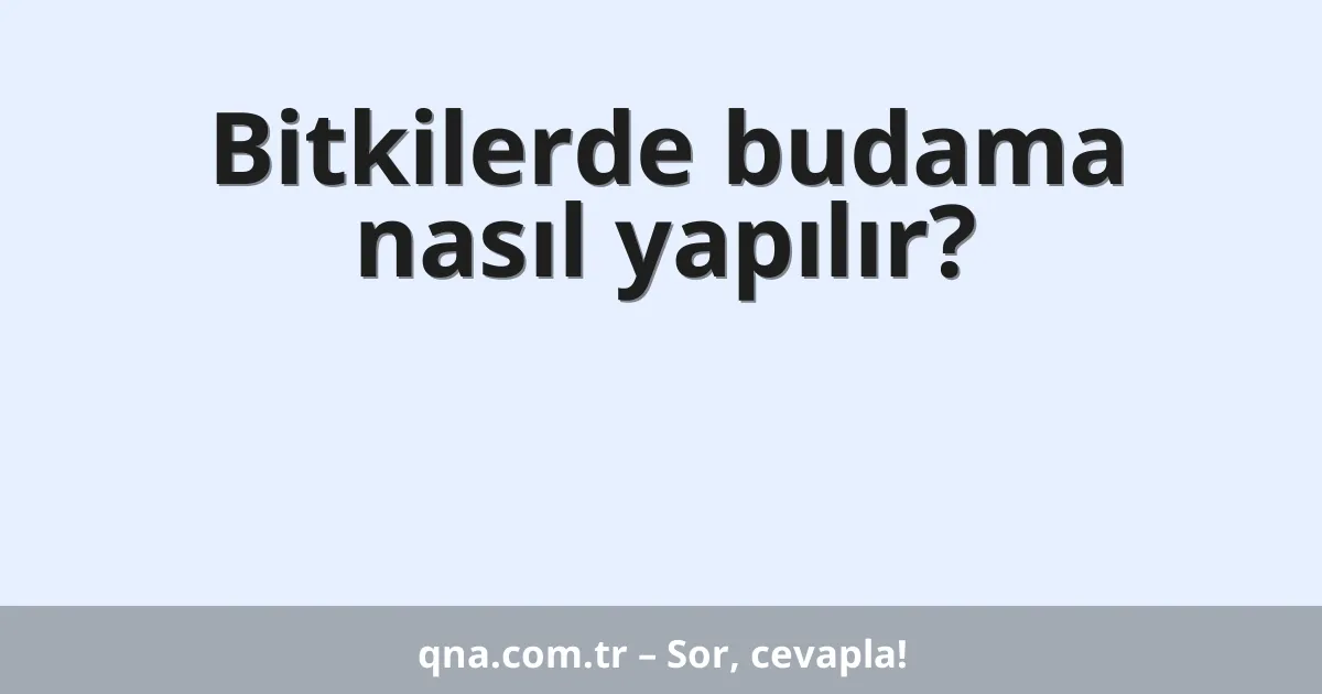 Bitkilerde budama nasıl yapılır?