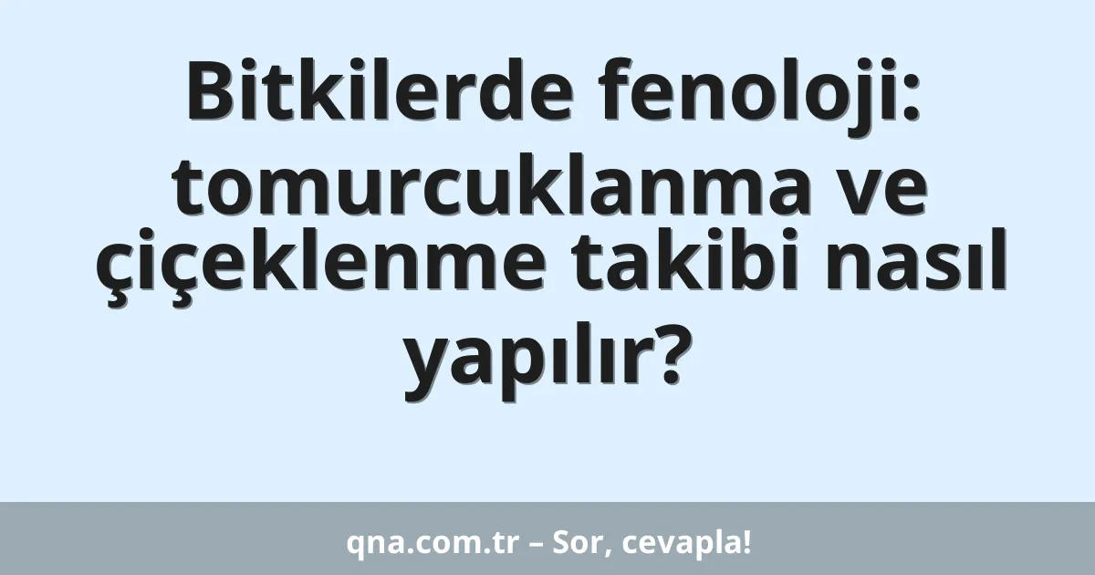Bitkilerde fenoloji: tomurcuklanma ve çiçeklenme takibi nasıl yapılır?