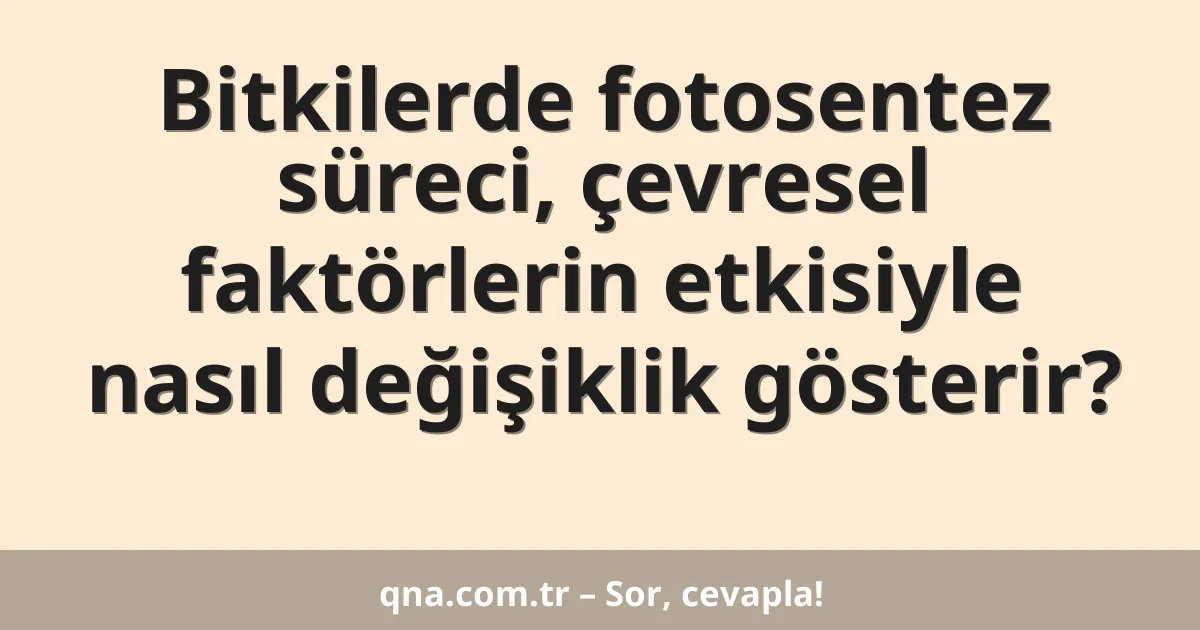 Bitkilerde fotosentez süreci, çevresel faktörlerin etkisiyle nasıl değişiklik gösterir?