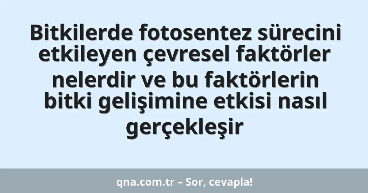 Bitkilerde fotosentez sürecini etkileyen çevresel faktörler nelerdir ve bu faktörlerin bitki gelişimine etkisi nasıl gerçekleşir