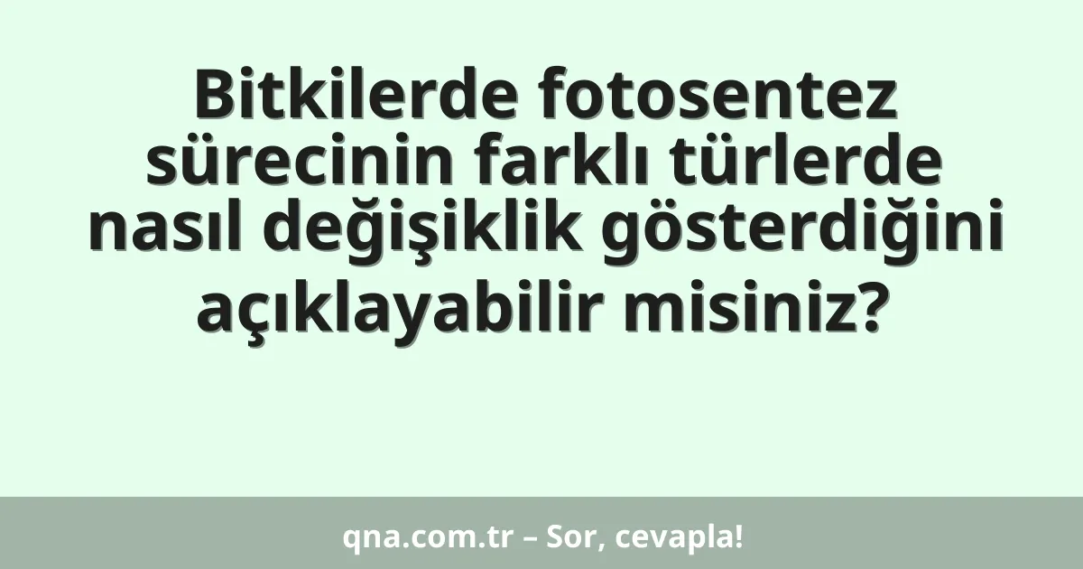 Bitkilerde fotosentez sürecinin farklı türlerde nasıl değişiklik gösterdiğini açıklayabilir misiniz?