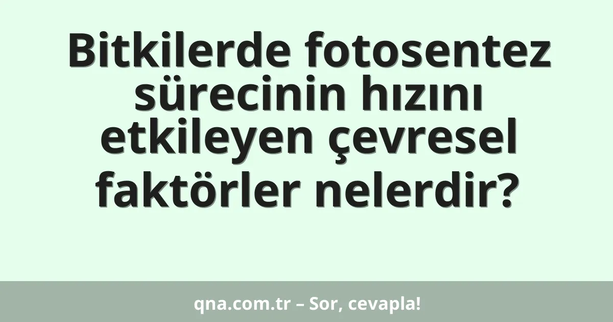Bitkilerde fotosentez sürecinin hızını etkileyen çevresel faktörler nelerdir?
