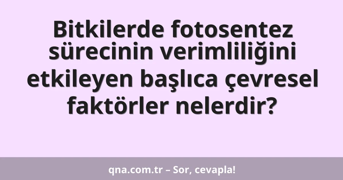 Bitkilerde fotosentez sürecinin verimliliğini etkileyen başlıca çevresel faktörler nelerdir?