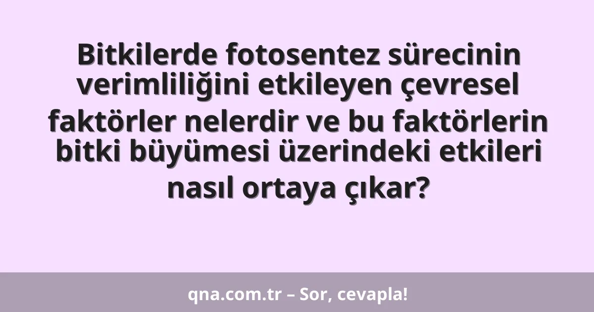 Bitkilerde fotosentez sürecinin verimliliğini etkileyen çevresel faktörler nelerdir ve bu faktörlerin bitki büyümesi üzerindeki etkileri nasıl ortaya çıkar?
