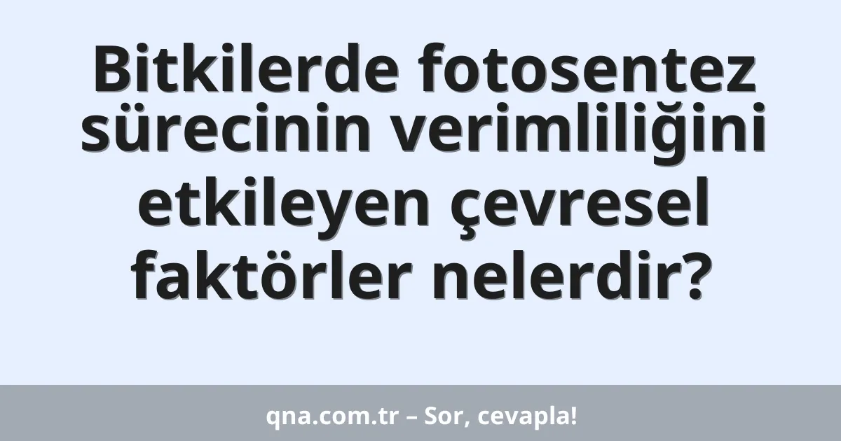 Bitkilerde fotosentez sürecinin verimliliğini etkileyen çevresel faktörler nelerdir?