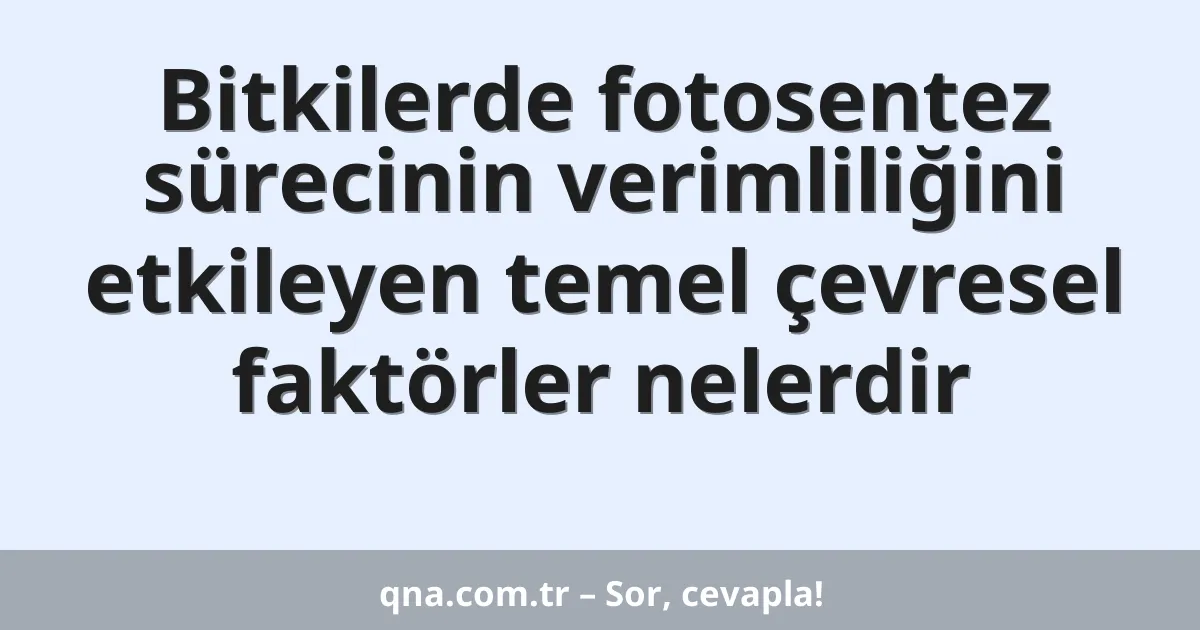 Bitkilerde fotosentez sürecinin verimliliğini etkileyen temel çevresel faktörler nelerdir
