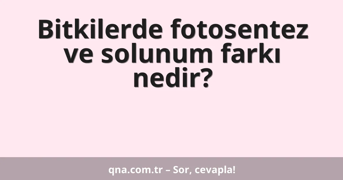 Bitkilerde fotosentez ve solunum farkı nedir?