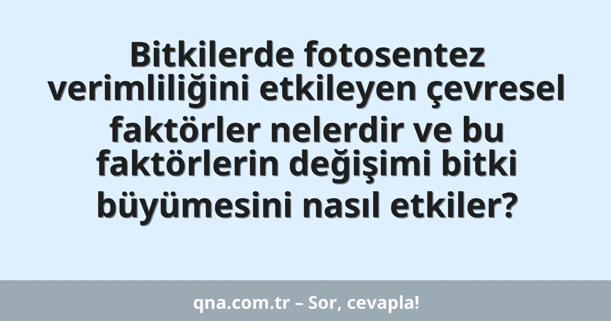Bitkilerde fotosentez verimliliğini etkileyen çevresel faktörler nelerdir ve bu faktörlerin değişimi bitki büyümesini nasıl etkiler?