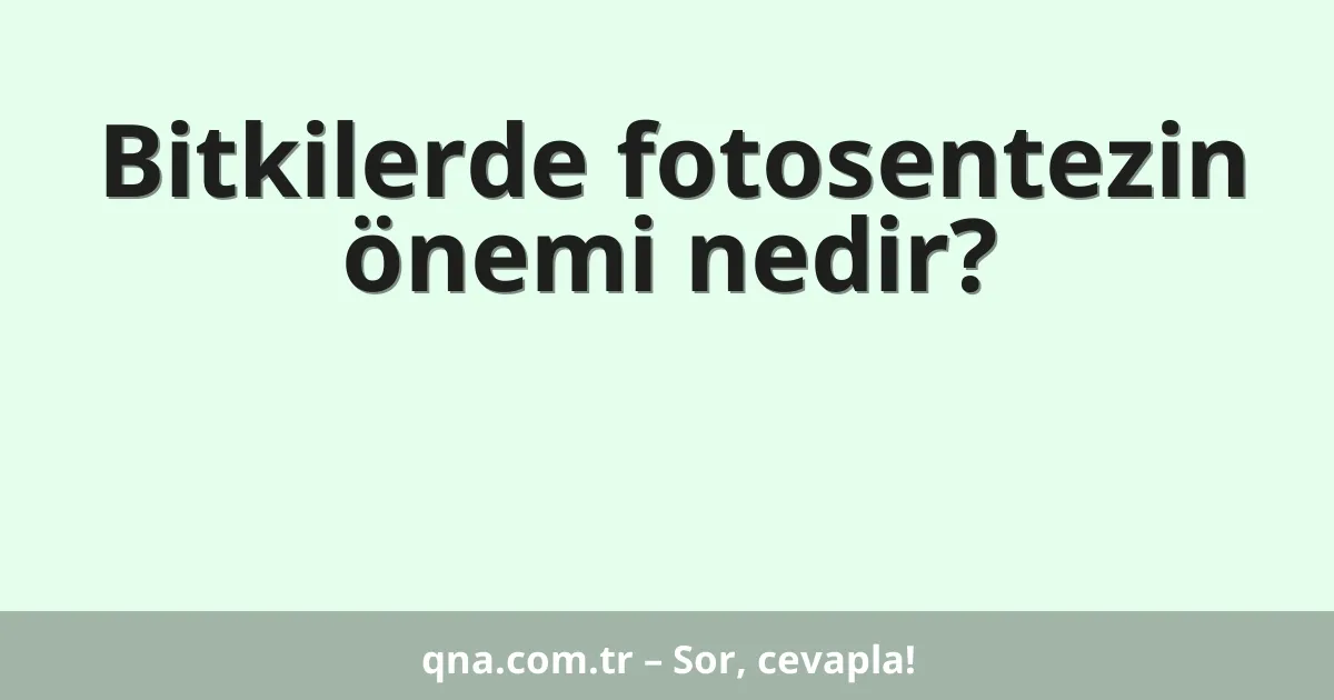 Bitkilerde fotosentezin önemi nedir?