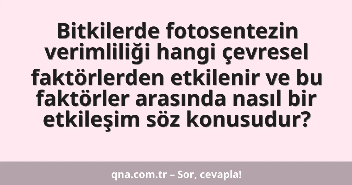 Bitkilerde fotosentezin verimliliği hangi çevresel faktörlerden etkilenir ve bu faktörler arasında nasıl bir etkileşim söz konusudur?