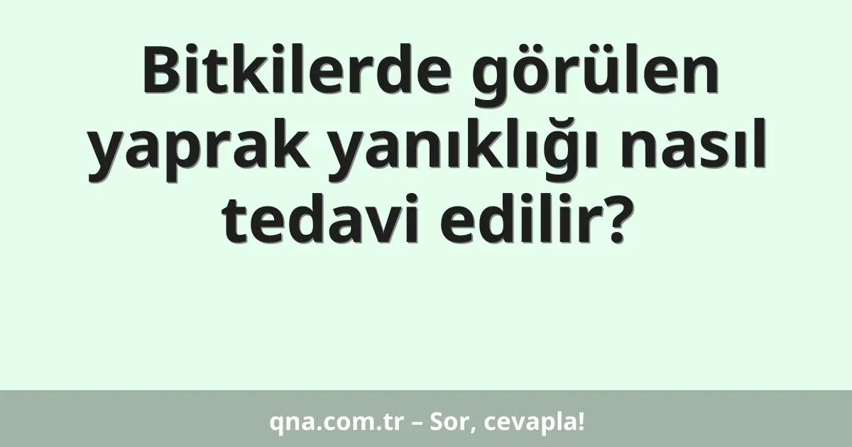 Bitkilerde görülen yaprak yanıklığı nasıl tedavi edilir?
