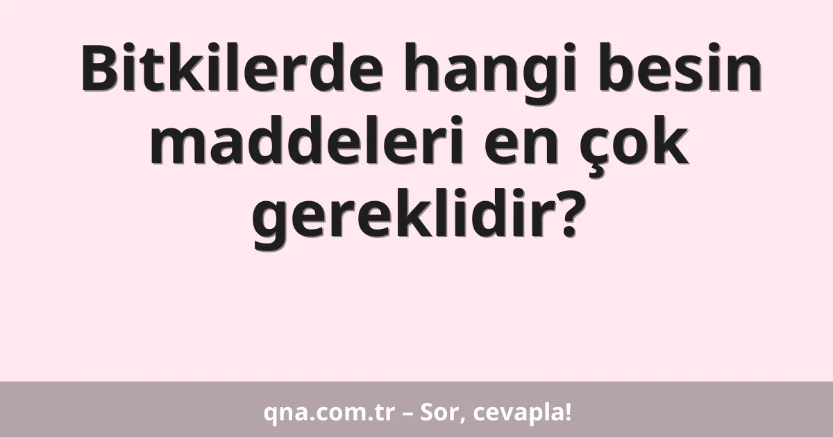 Bitkilerde hangi besin maddeleri en çok gereklidir?