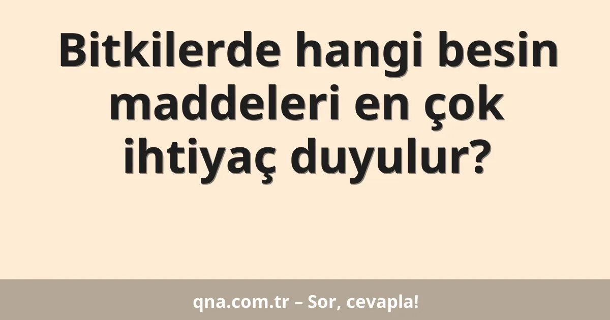 Bitkilerde hangi besin maddeleri en çok ihtiyaç duyulur?