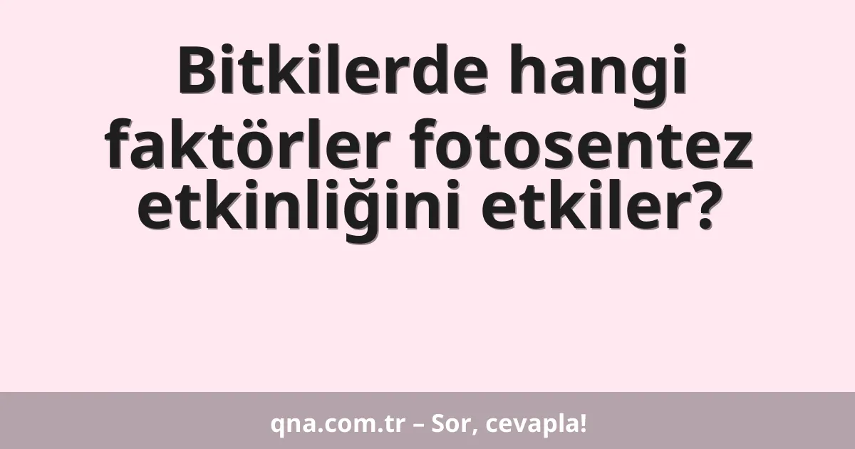 Bitkilerde hangi faktörler fotosentez etkinliğini etkiler?