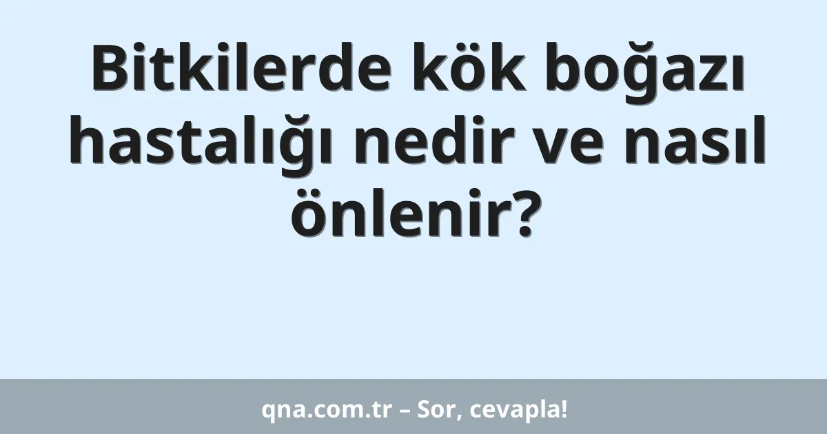 Bitkilerde kök boğazı hastalığı nedir ve nasıl önlenir?