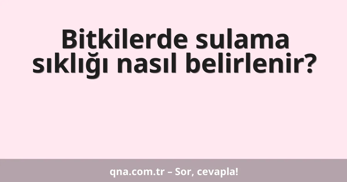 Bitkilerde sulama sıklığı nasıl belirlenir?