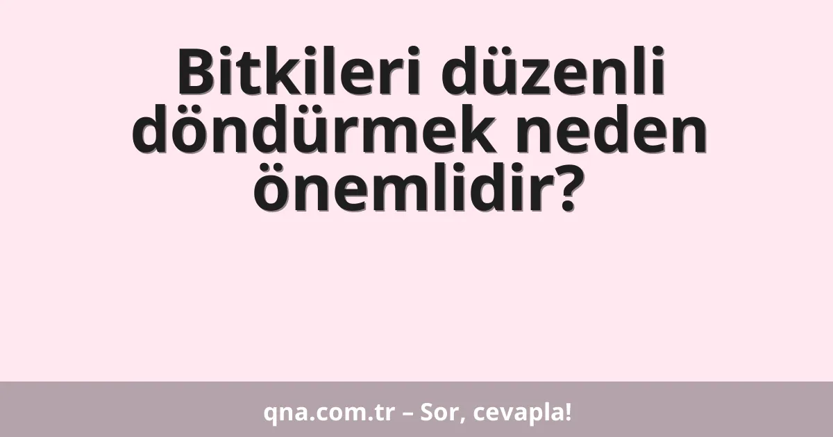 Bitkileri düzenli döndürmek neden önemlidir?
