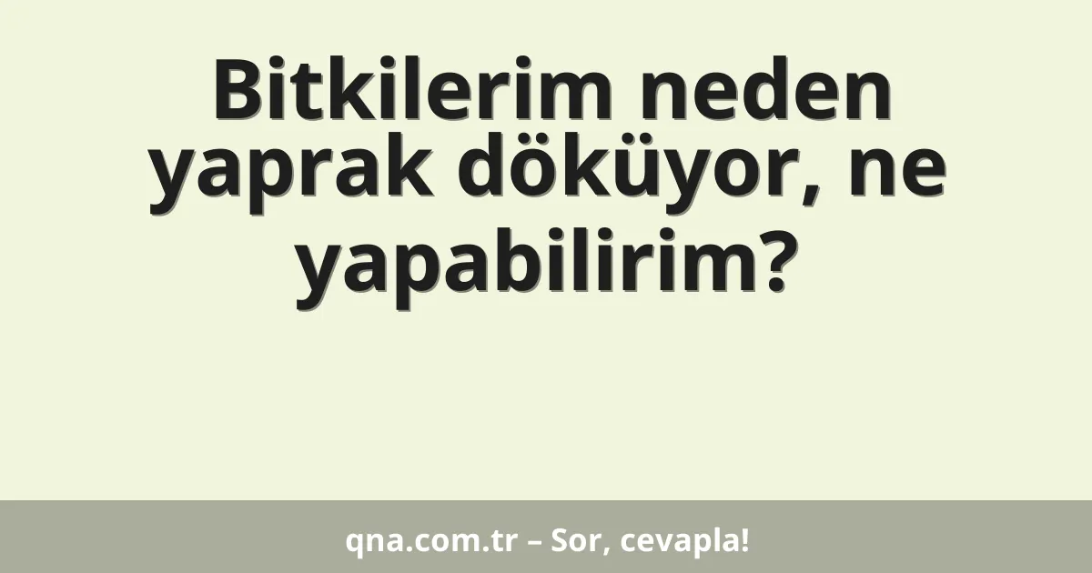 Bitkilerim neden yaprak döküyor, ne yapabilirim?
