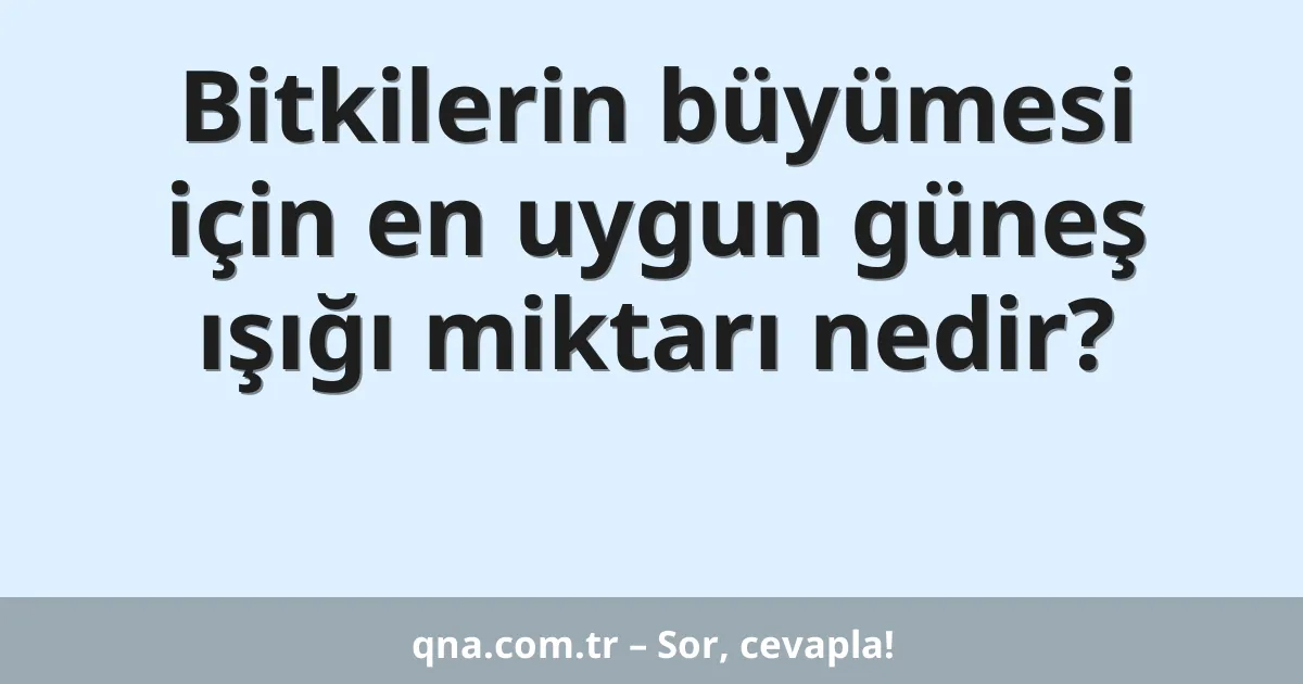 Bitkilerin büyümesi için en uygun güneş ışığı miktarı nedir?