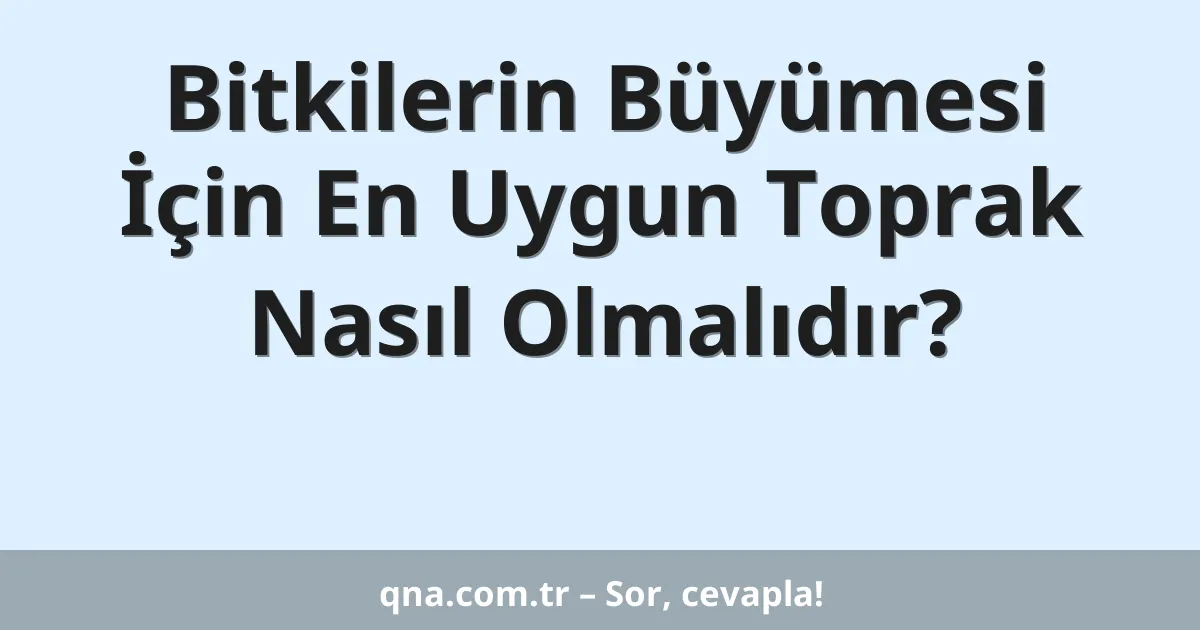 Bitkilerin Büyümesi İçin En Uygun Toprak Nasıl Olmalıdır?