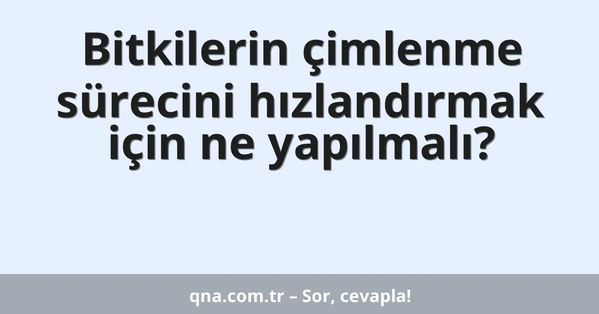 Bitkilerin çimlenme sürecini hızlandırmak için ne yapılmalı?