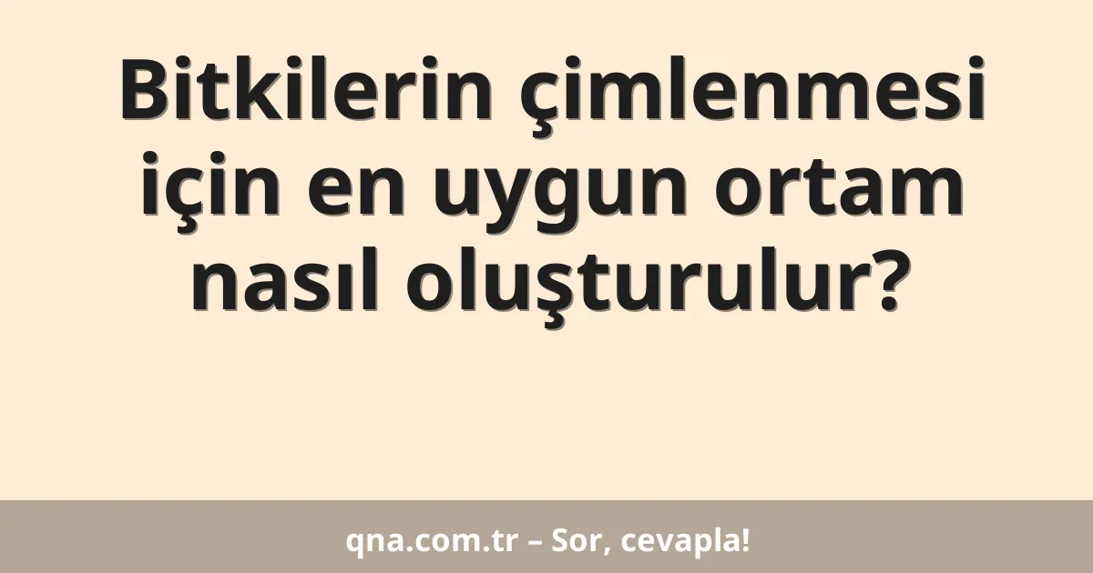 Bitkilerin çimlenmesi için en uygun ortam nasıl oluşturulur?