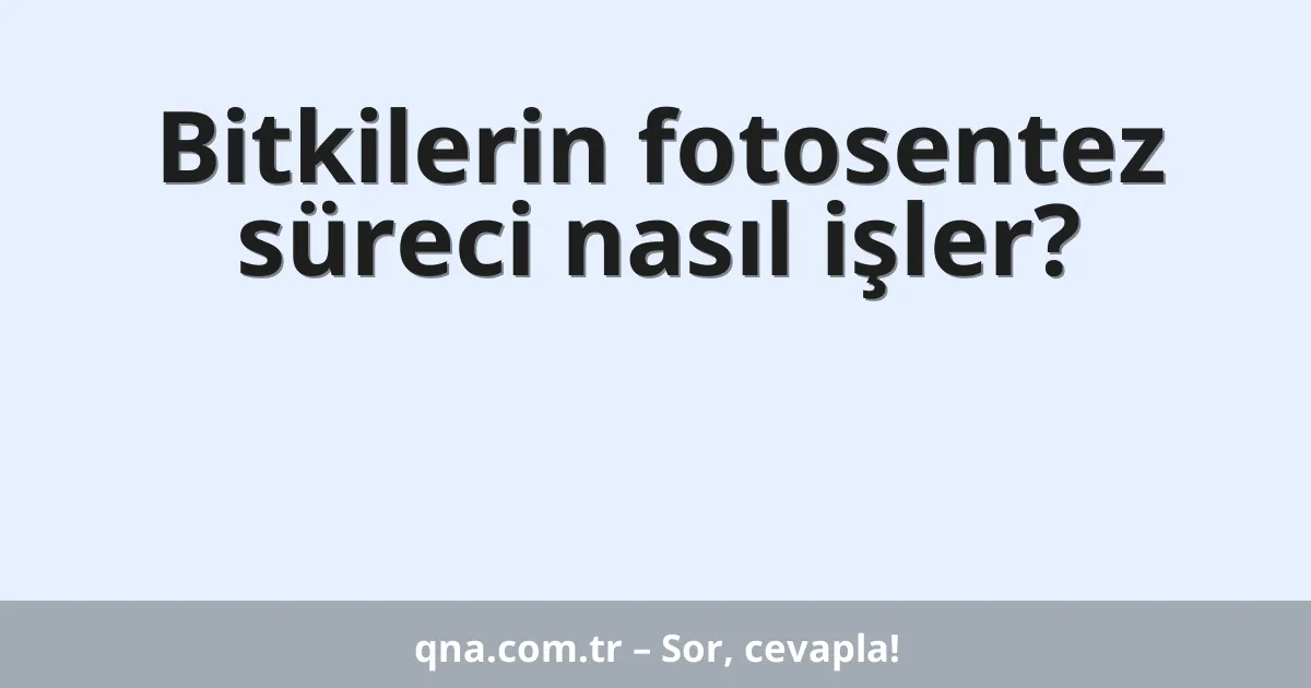 Bitkilerin fotosentez süreci nasıl işler?
