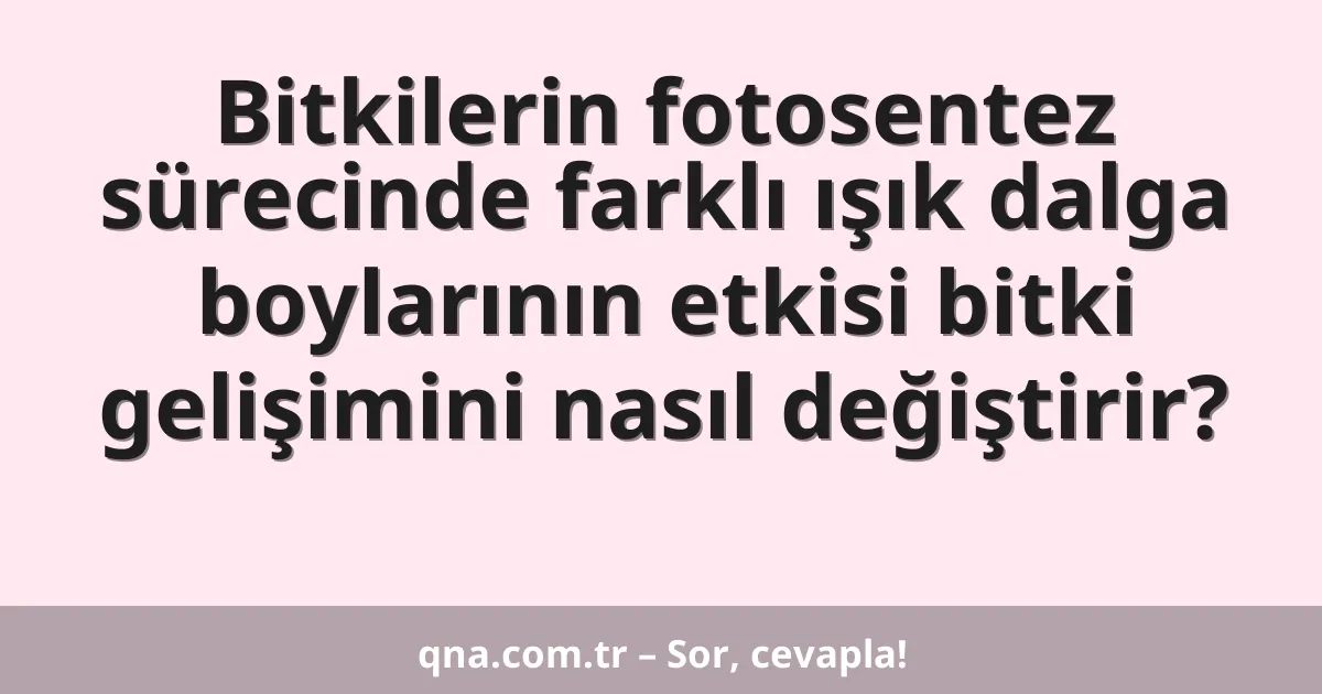 Bitkilerin fotosentez sürecinde farklı ışık dalga boylarının etkisi bitki gelişimini nasıl değiştirir?