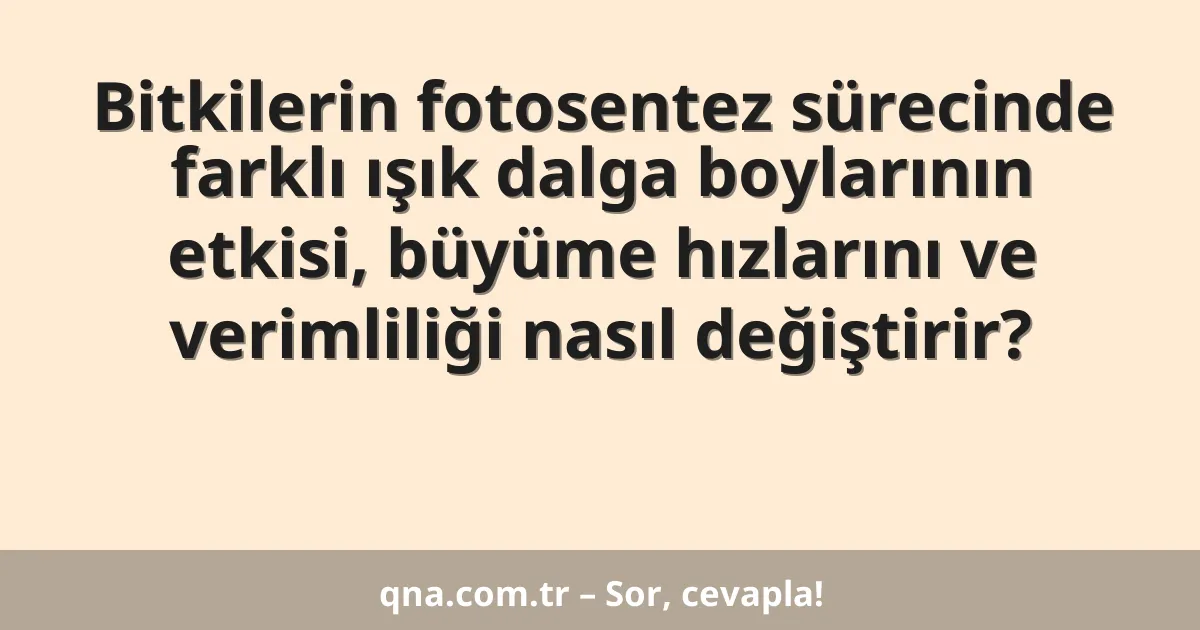 Bitkilerin fotosentez sürecinde farklı ışık dalga boylarının etkisi, büyüme hızlarını ve verimliliği nasıl değiştirir?