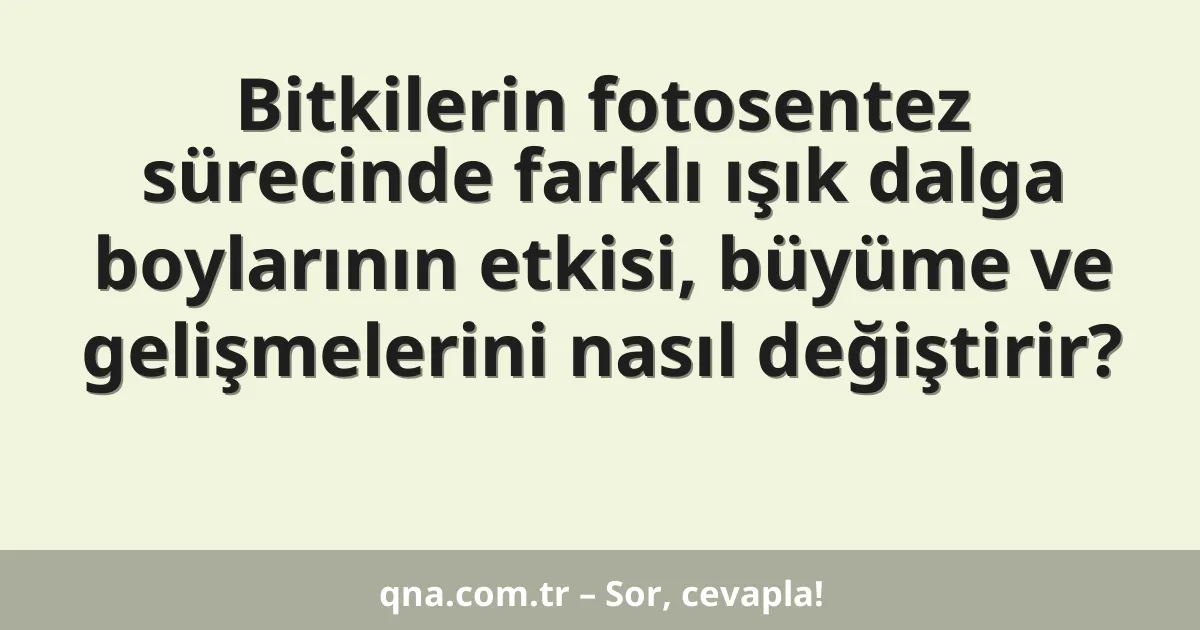 Bitkilerin fotosentez sürecinde farklı ışık dalga boylarının etkisi, büyüme ve gelişmelerini nasıl değiştirir?