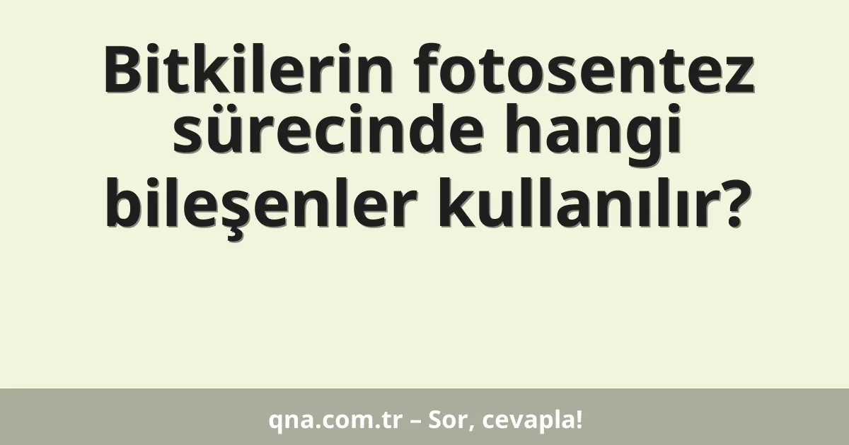 Bitkilerin fotosentez sürecinde hangi bileşenler kullanılır?