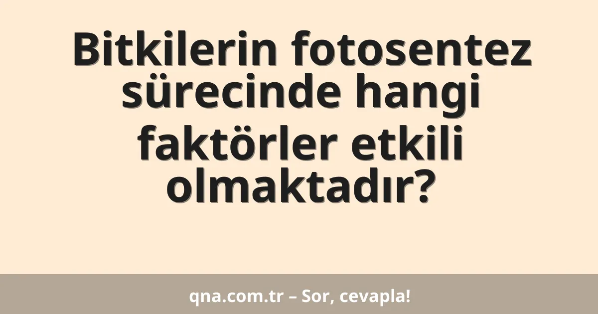 Bitkilerin fotosentez sürecinde hangi faktörler etkili olmaktadır?