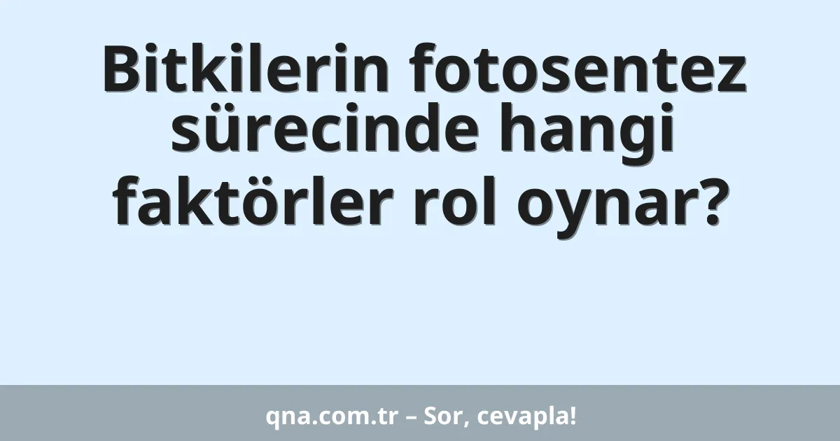 Bitkilerin fotosentez sürecinde hangi faktörler rol oynar?