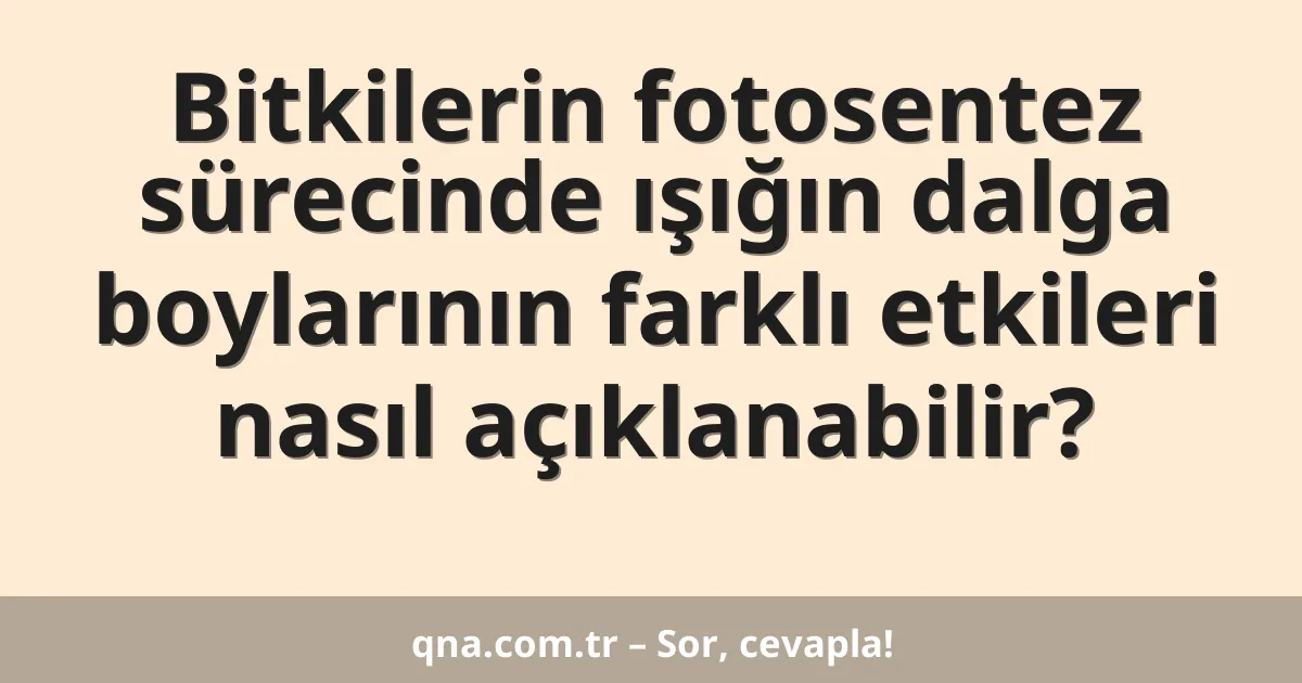 Bitkilerin fotosentez sürecinde ışığın dalga boylarının farklı etkileri nasıl açıklanabilir?