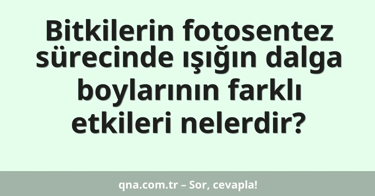 Bitkilerin fotosentez sürecinde ışığın dalga boylarının farklı etkileri nelerdir?