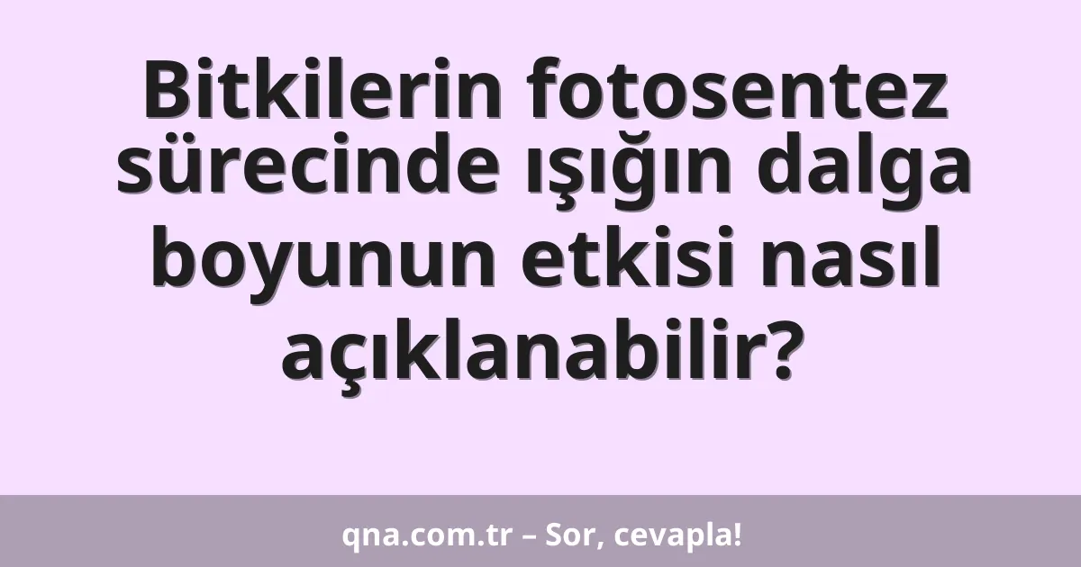 Bitkilerin fotosentez sürecinde ışığın dalga boyunun etkisi nasıl açıklanabilir?